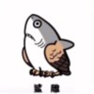 qinkaiyang