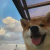 张张张