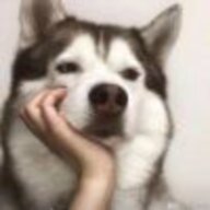 2289017781