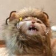 奥里给
