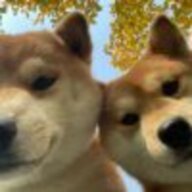 钨哇哇