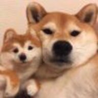 MoXi0612