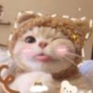 小九儿