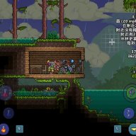 bo1789785498
