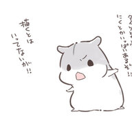 仓鼠君