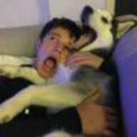 syjj