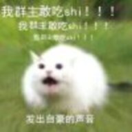 机器人