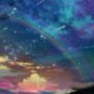 星辰鸭
