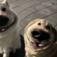 rainpupu