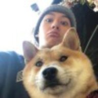 狗哥不苟