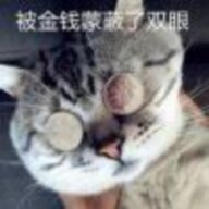 随风飘扬