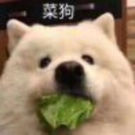 转转不爱