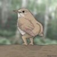 jooj