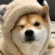 伊之助