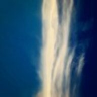 albus_sh