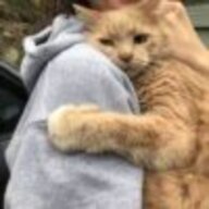 3344