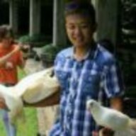 六子总
