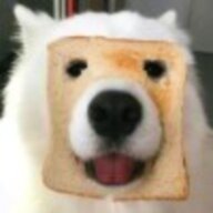 dashuaige