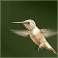 dddddddddddddd