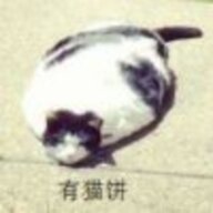 恶魔骑士