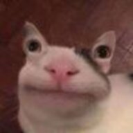 uuui