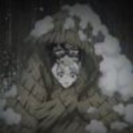 白雪鸮