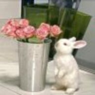 bunny66