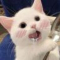 hhhhhhhhh