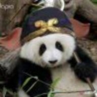 至尊无上