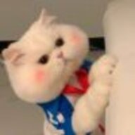 猪猪猪铸