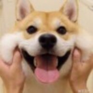 俩二页