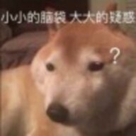 北海一只鱼