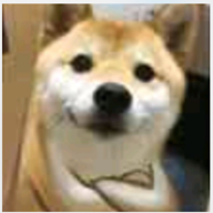 FFzyxFF