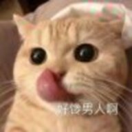 你特喵的