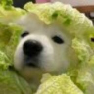 虞777