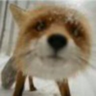 临渊蹈河
