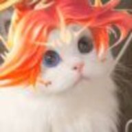 fgddgfd