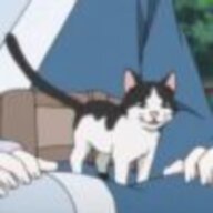 偶遇你