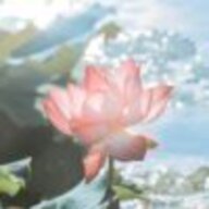 小丝来啦