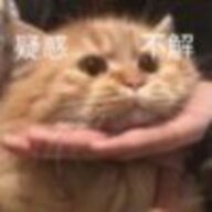 jyk_kun