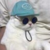 Azzzzp