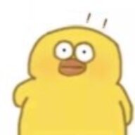 dasca