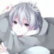 白小杨