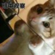 这个组织