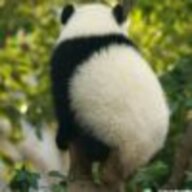 太拉小萌新