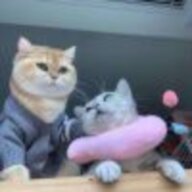 juran