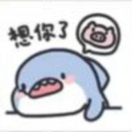 繁花鸢尾落