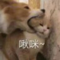 奶瓶子