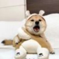 龙华啊