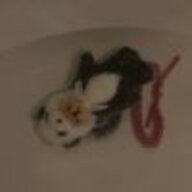 沉水杯